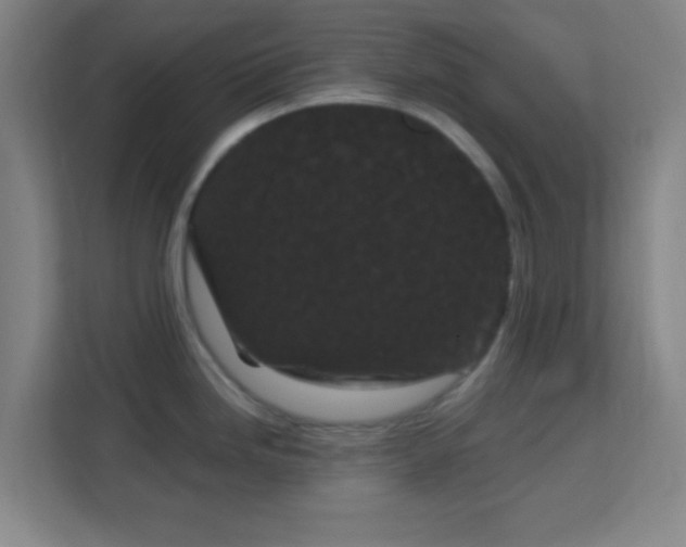 X0000113161246200909111008