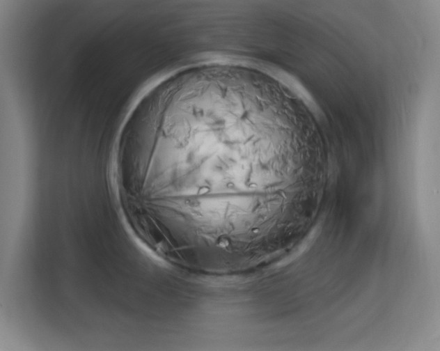 X0000113161247200909111008