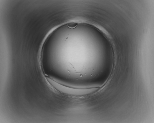 X0000113161248200909111008