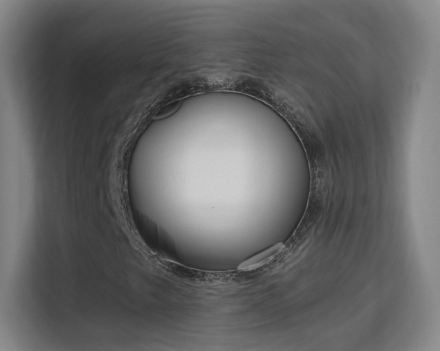 X0000113161249200909111007