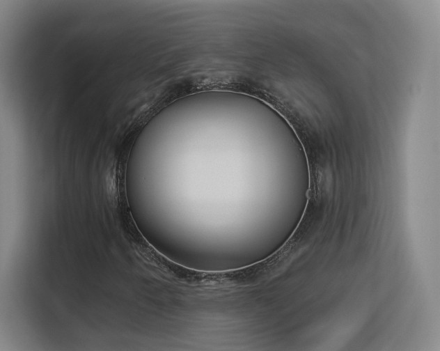 X0000113161250200909111007