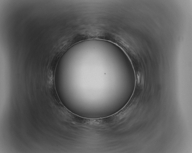 X0000113161251200909111007