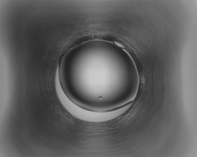 X0000113161252200909111007