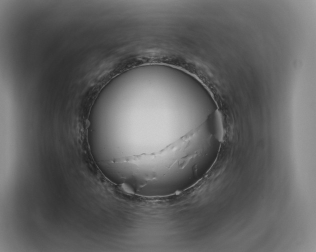 X0000113161253200909111007