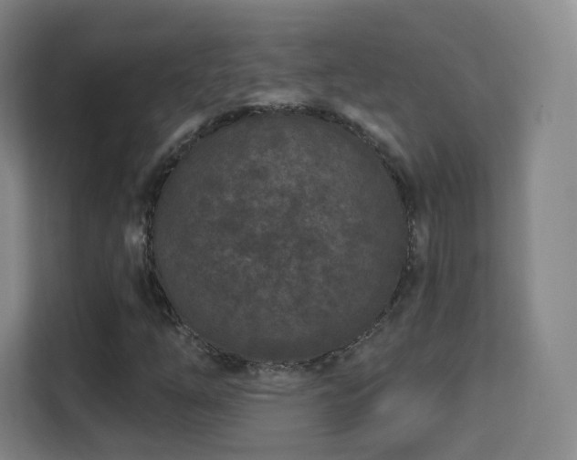 X0000113161254200909111007