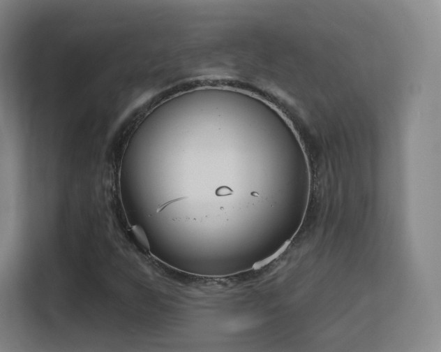 X0000113161255200909111007