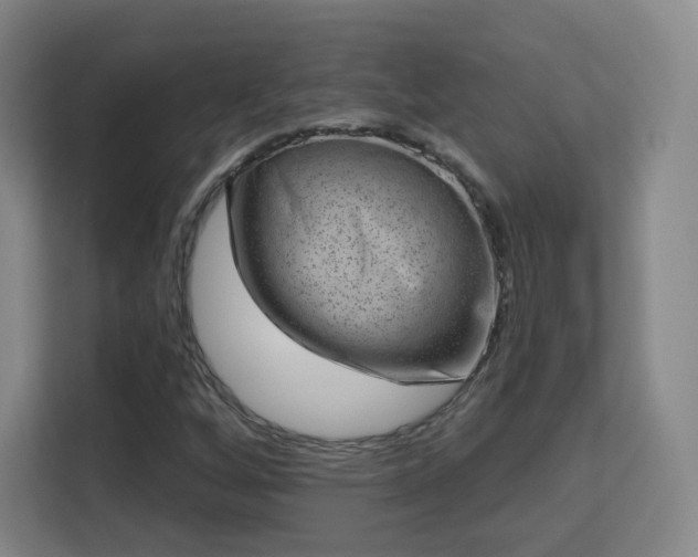 X0000113161256200909111007