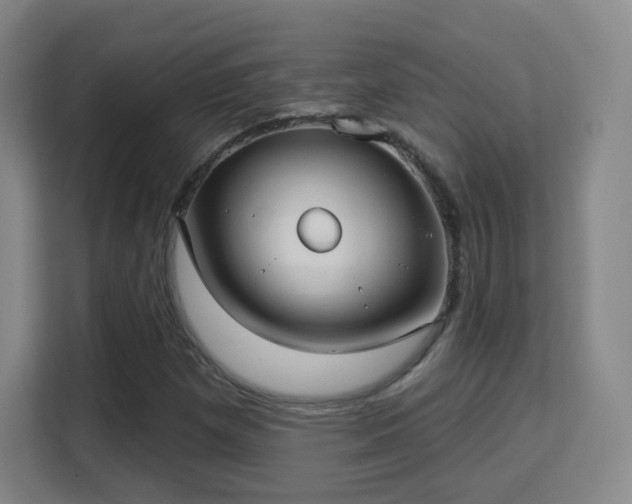 X0000113161257200909111007