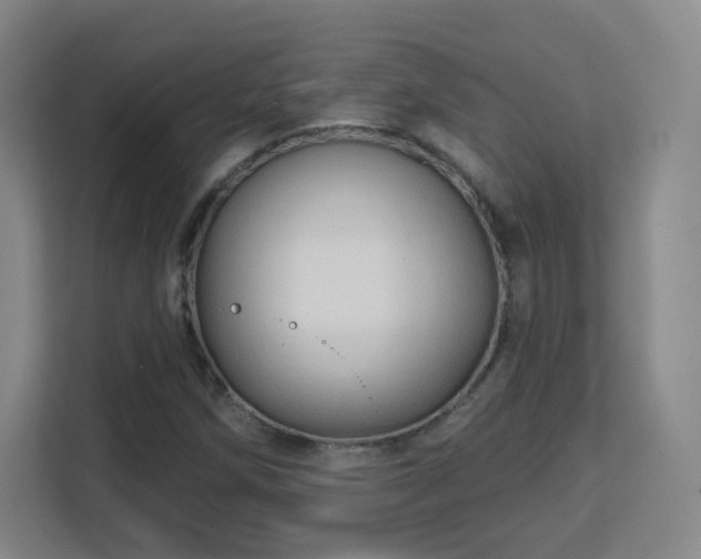 X0000113161258200909111007