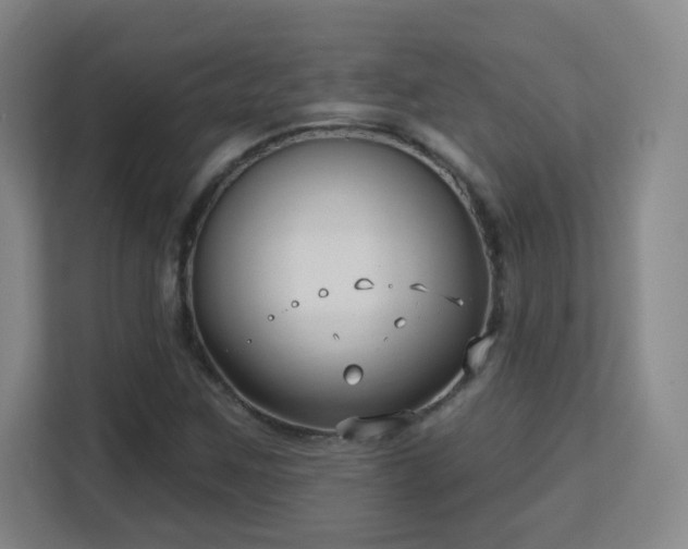 X0000113161259200909111007