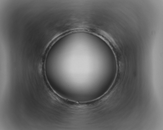 X0000113161260200909111007