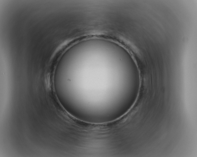 X0000113161262200909111007