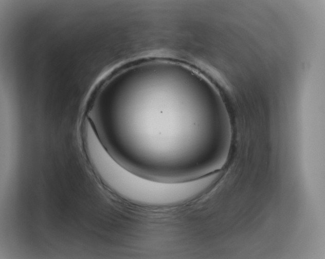 X0000113161264200909111007