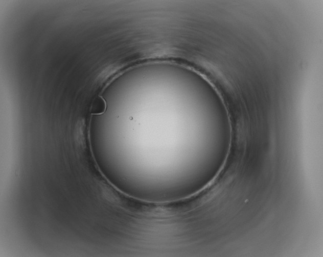 X0000113161265200909111007