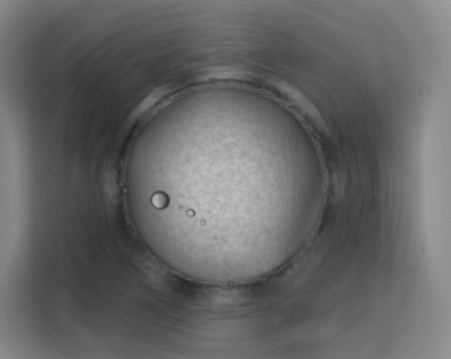 X0000113161266200909111007