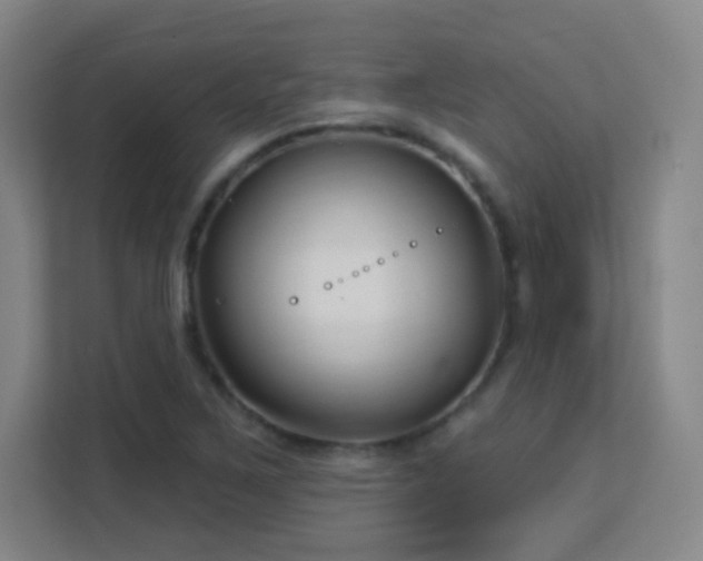 X0000113161267200909111007