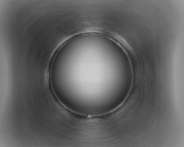 X0000113161268200909111007