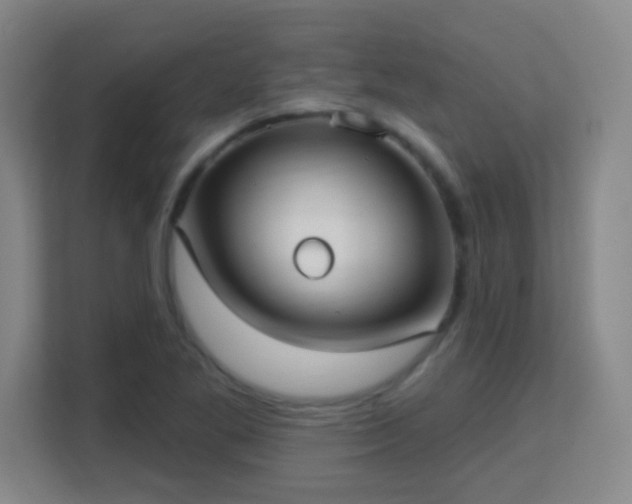 X0000113161269200909111007