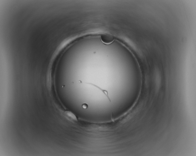 X0000113161270200909111007