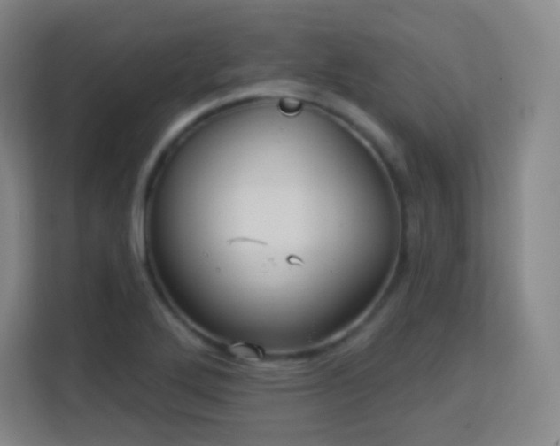 X0000113161272200909111007