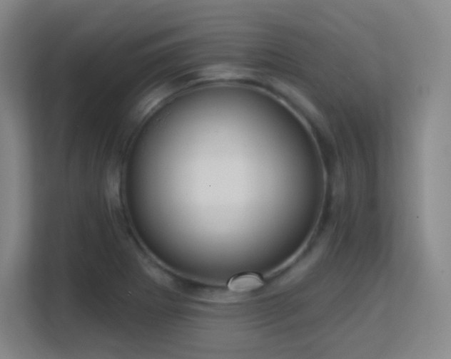 X0000113161273200909111007