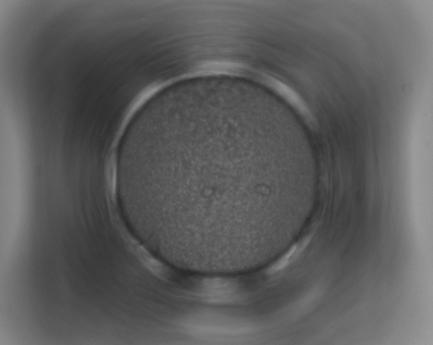 X0000113161275200909111007