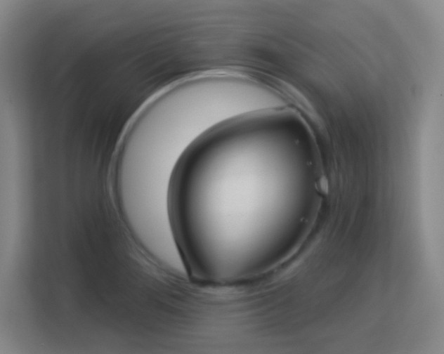 X0000113161276200909111007