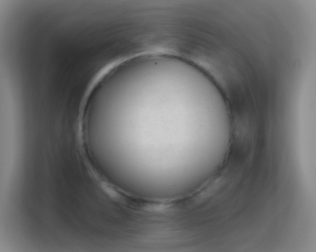 X0000113161278200909111007