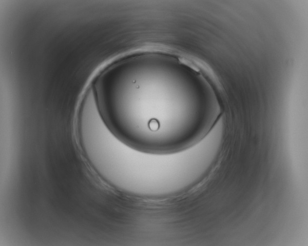 X0000113161280200909111007