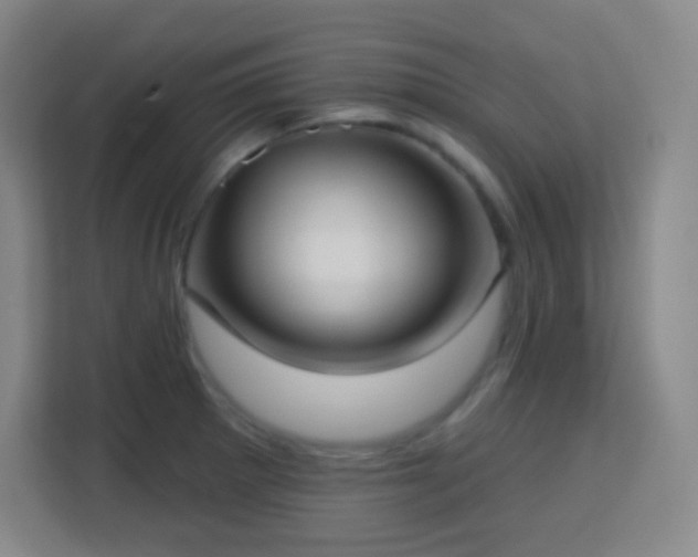 X0000113161281200909111007