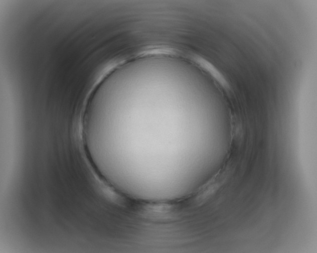 X0000113161282200909111007