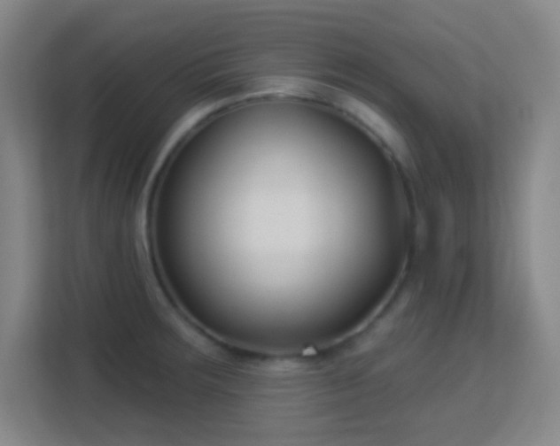 X0000113161283200909111007