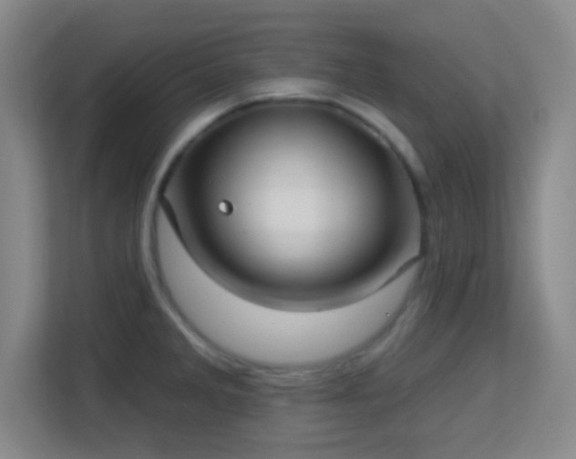 X0000113161285200909111007