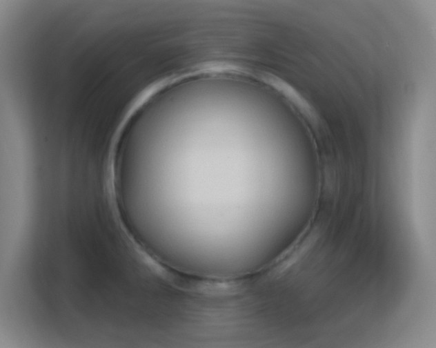 X0000113161286200909111007