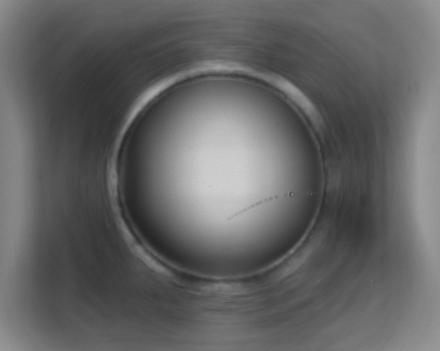 X0000113161287200909111007