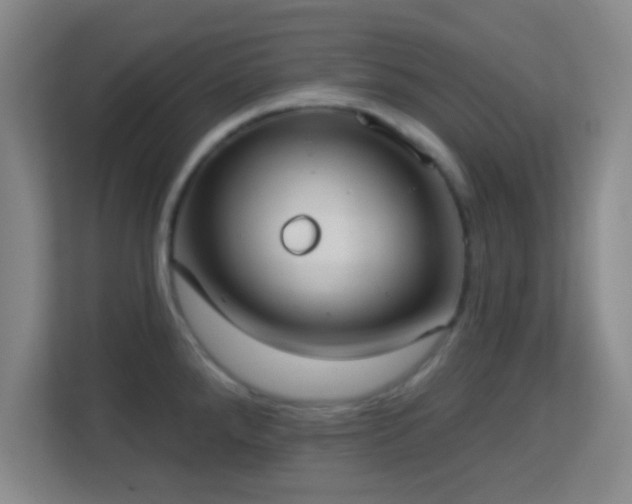 X0000113161288200909111007