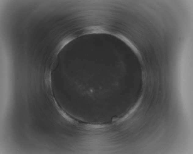 X0000113161289200909111007