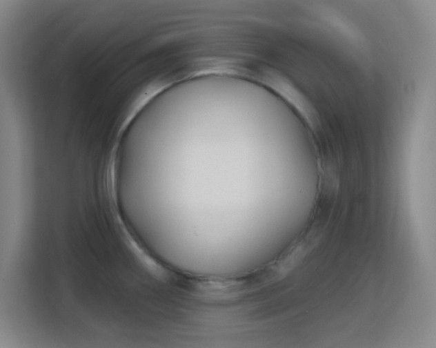 X0000113161290200909111007