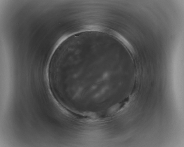 X0000113161291200909111007