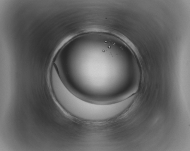 X0000113161293200909111007