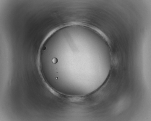 X0000113161294200909111007