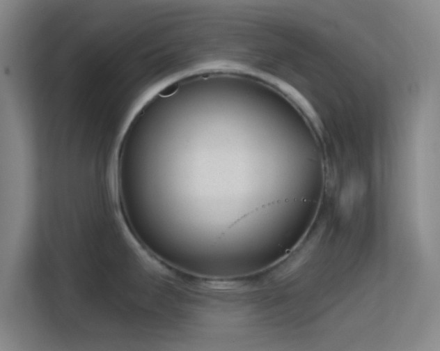 X0000113161295200909111007