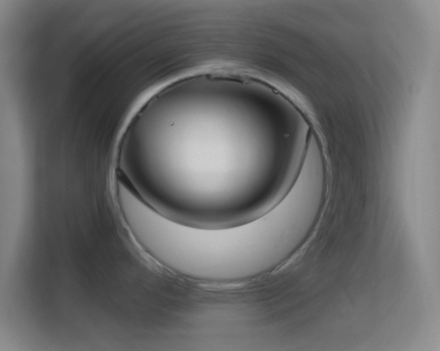 X0000113161296200909111007