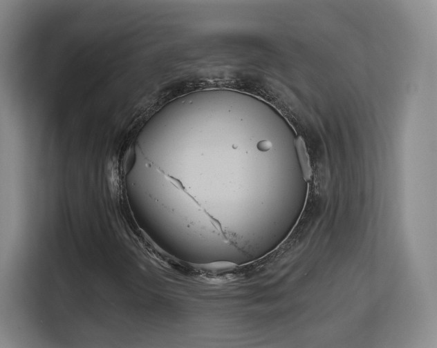 X0000113161298200909111006