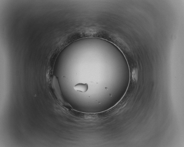 X0000113161299200909111006