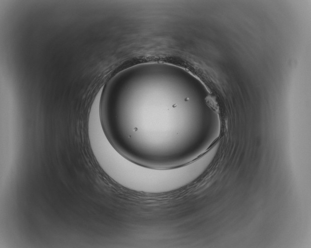 X0000113161300200909111006