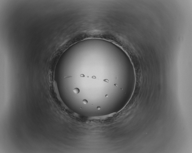 X0000113161301200909111006