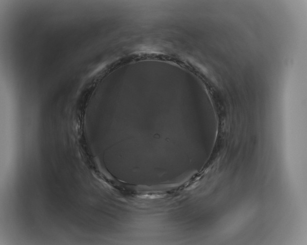 X0000113161303200909111006