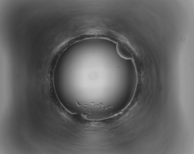 X0000113161304200909111006