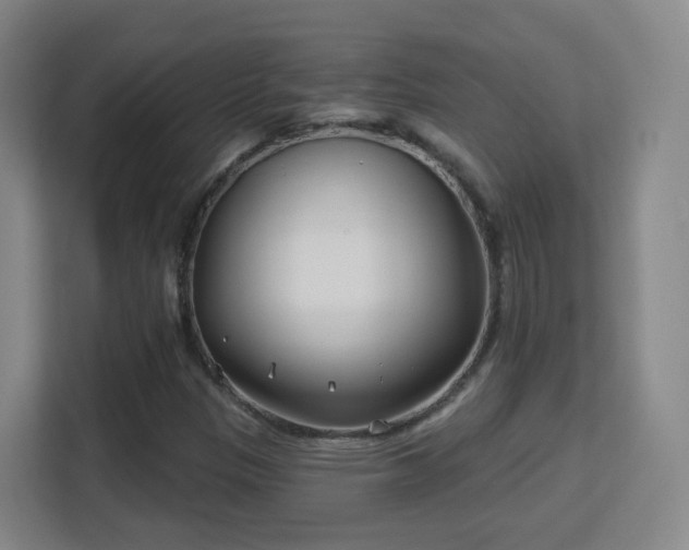 X0000113161305200909111006